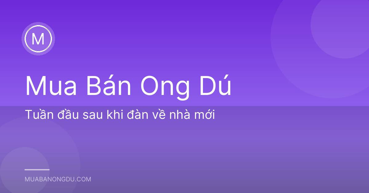 Tuần đầu sau khi đàn về nhà mới